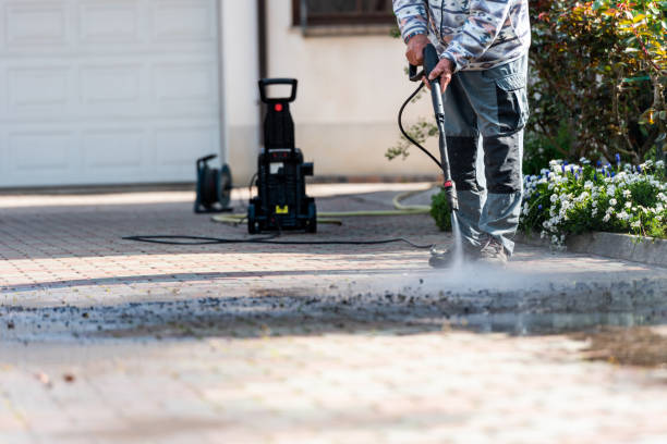 Best Best Pressure Washing Companies  in Carroll, IA