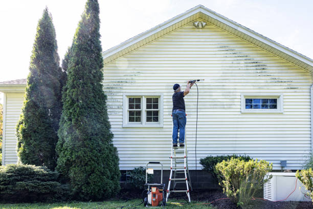 Best Affordable Power Washing  in Carroll, IA