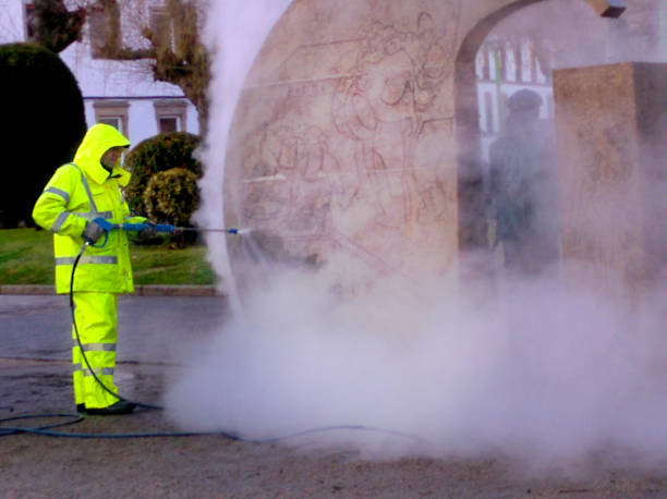 Best Roof Pressure Washing  in Carroll, IA