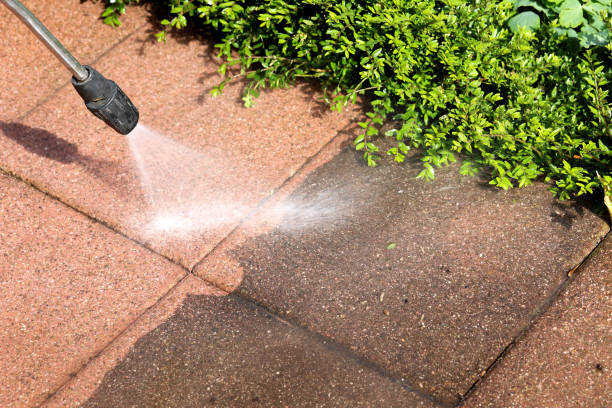 Best Garage Pressure Washing  in Carroll, IA